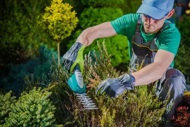 landscaping services Cambridge